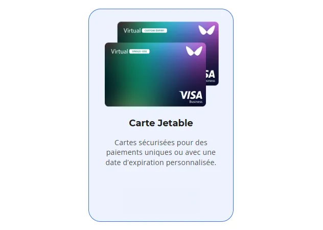 Carte VISA jetable.webp