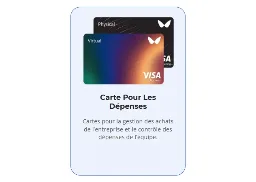 Cartes VISA gratuites d’entreprise pour votre entreprise