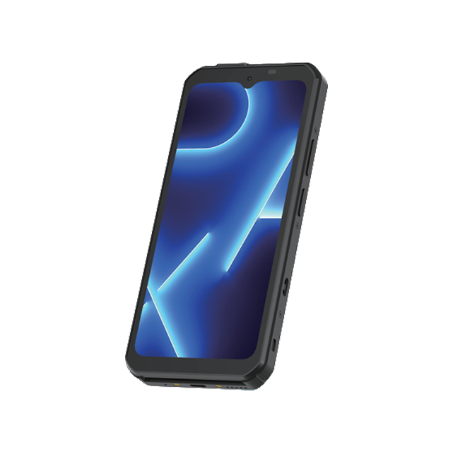 TPE PAX A6630 - 4G - WiFi - Bluetooth - Android (Standard)
