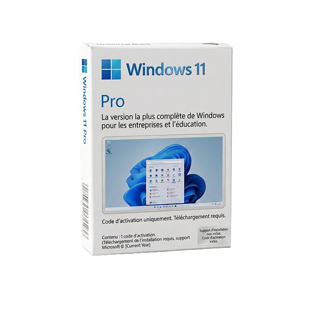 Windows 11 Pro